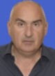 Veselin Govedarica